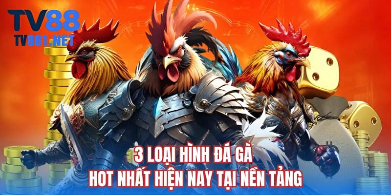 3 loại hình đá gà hot nhất hiện nay tại nền tảng