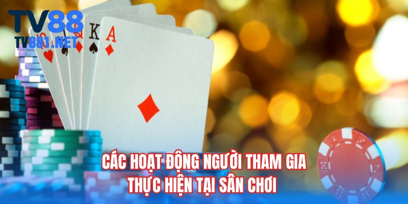 Các hoạt động người tham gia thực hiện tại sân chơi 