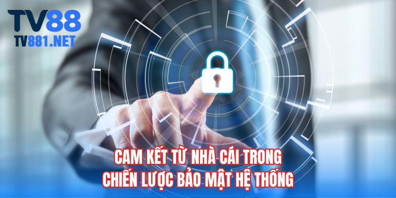 Cam kết từ nhà cái trong chiến lược bảo mật hệ thống