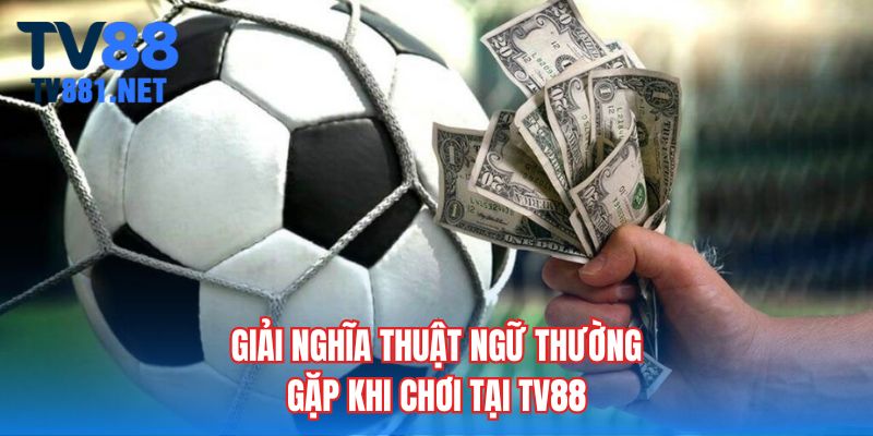 Giải nghĩa thuật ngữ thường gặp khi chơi tại TV88