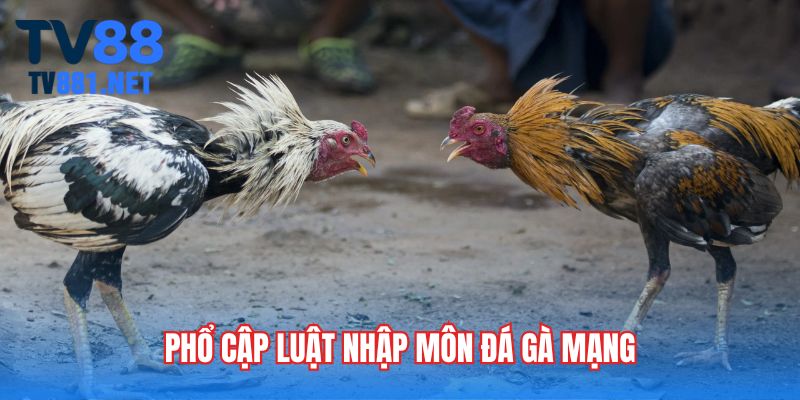 Phổ cập luật nhập môn đá gà mạng